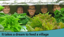 Mecatina - group shot with greens-caroussel