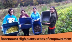 Rosemount -- blue bins at the farm-caroussel